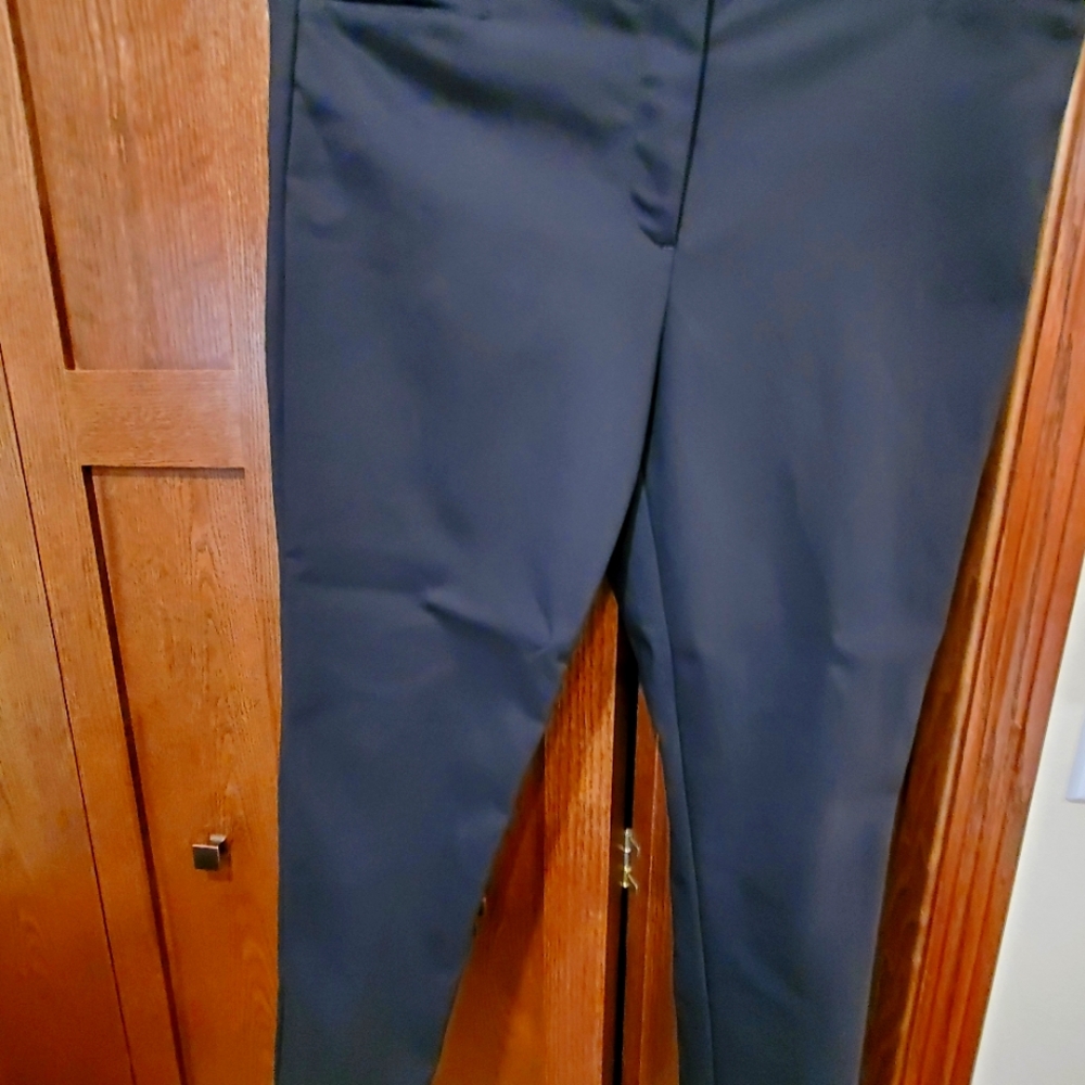 loft ladies skinny pants